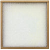 Flanders PrecisionAire 16 In. x 25 In. x 1 In. EZ Flow II MERV 4 Furnace Filter
