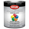 Krylon COLORmaxx paint Base Tint