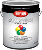 Krylon COLORmaxx paint Clear