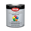 Krylon COLORmaxx paint Gray