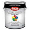 Krylon COLORmaxx paint Pastel