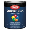 Krylon COLORmaxx paint Regal Blue