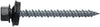 10 X 2 SCREW PP ROOF M2W SD BRT WHT 1LB
