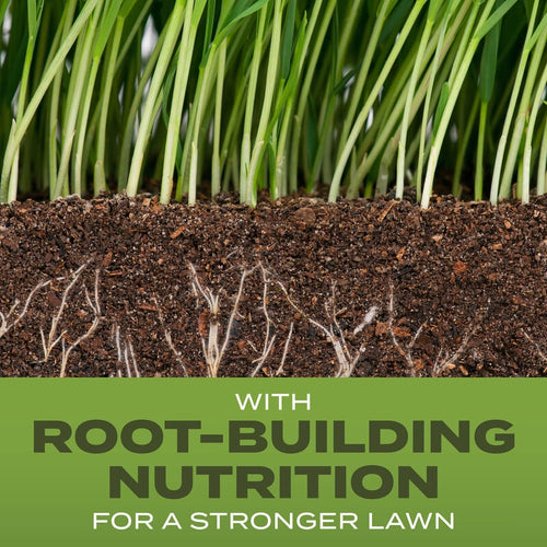 Scotts® Turf Builder® Grass Seed Tall Fescue Mix