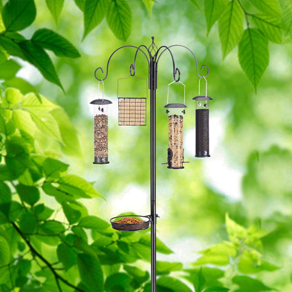 Bird - Serving WA, ID, NY, ID - Early Bird Supply
