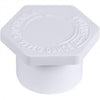 Genova Products PVC Schedule 40 Fittings Plug (SPIGOT)