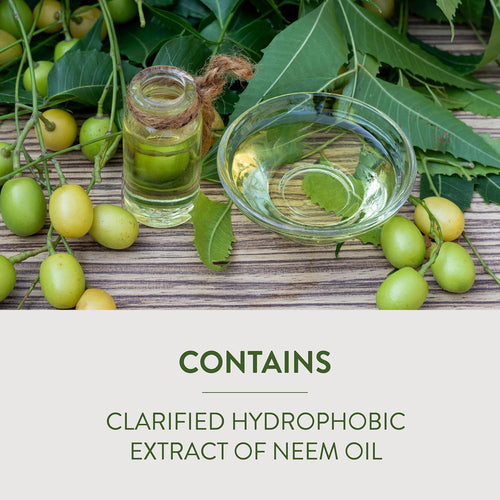 GARDEN SAFE Liquid Concentrate Neem Oil Extract Fungicide