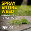 Spruce 64oz Manual Weed & Grass Killer
