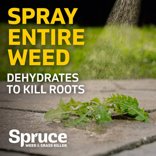 Spruce 64oz Manual Weed & Grass Killer