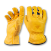 Bear Knuckles High Noon - D373