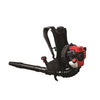 Gas Backpack Leaf Blower, 32cc 4-Cycle Engine